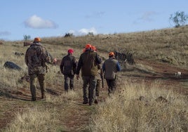 Publicados los períodos hábiles de caza para la temporada 2025/26 en Castilla-La Mancha