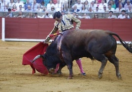 El Trofeo Taurino Manolete a la mejor faena de la Feria de Córdoba queda desierto