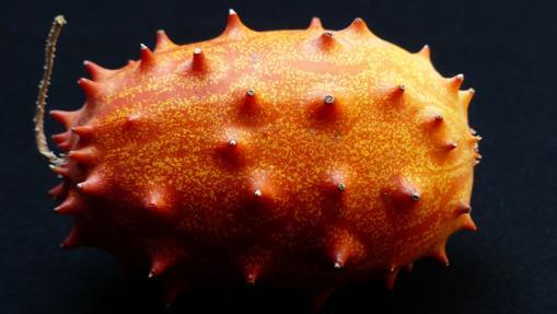 El kiwano, un concentrado de sabor sin azúcares ni grasas